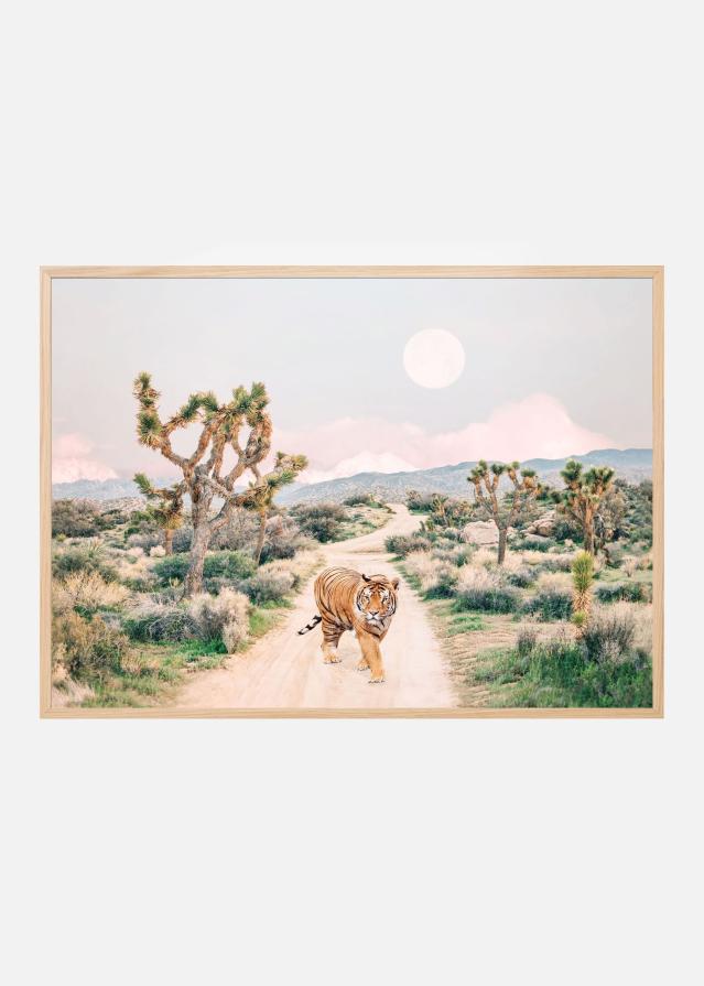 Wandering Tiger Póster