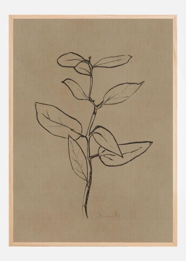 Eucalyptus Sapling Póster