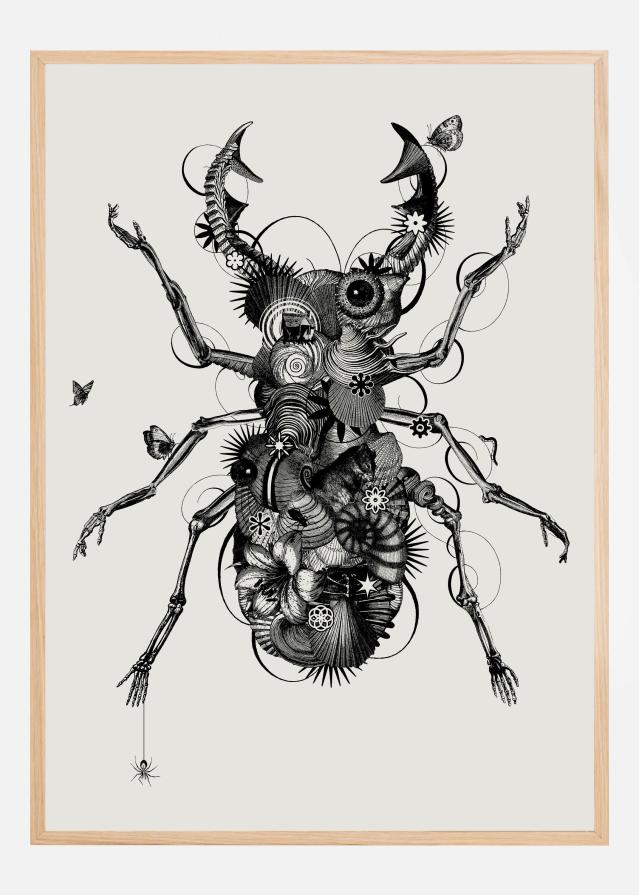Stagbeetle Póster