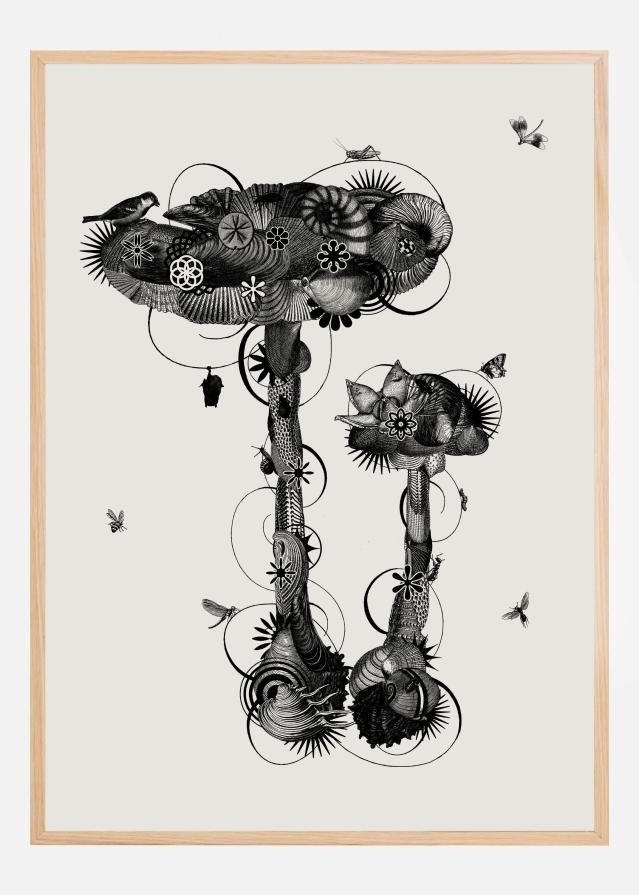 Amanita Mascara Póster