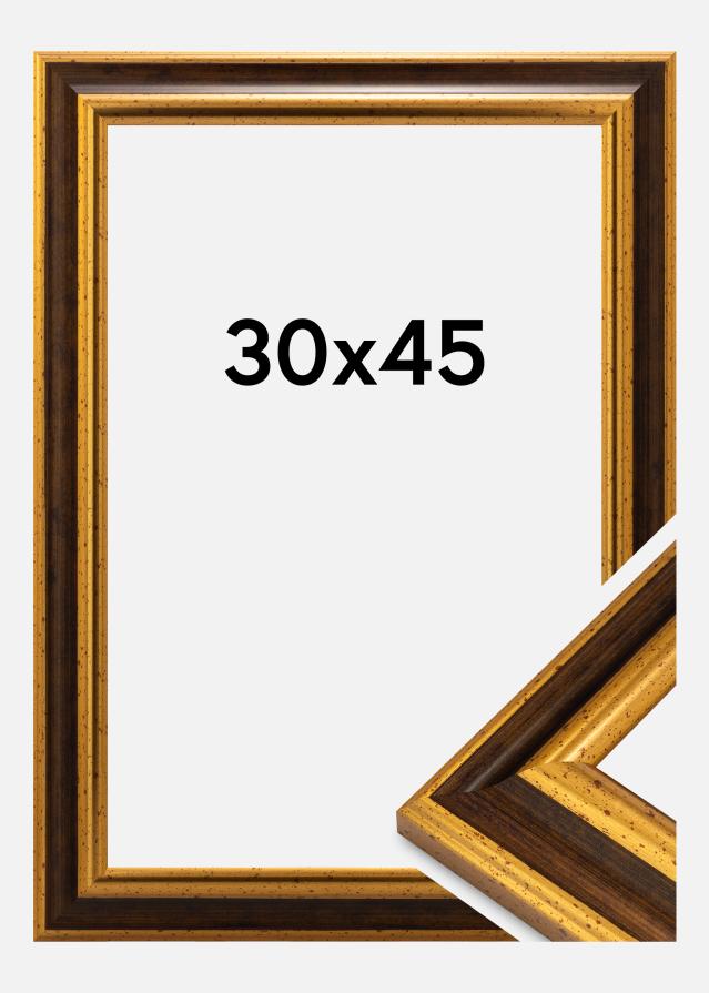 Moldura Aberystwyth Vidro acrílico Ouro 30x45 cm