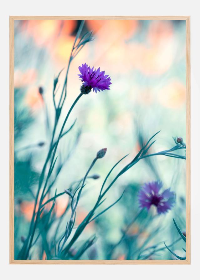 Colors game II Póster