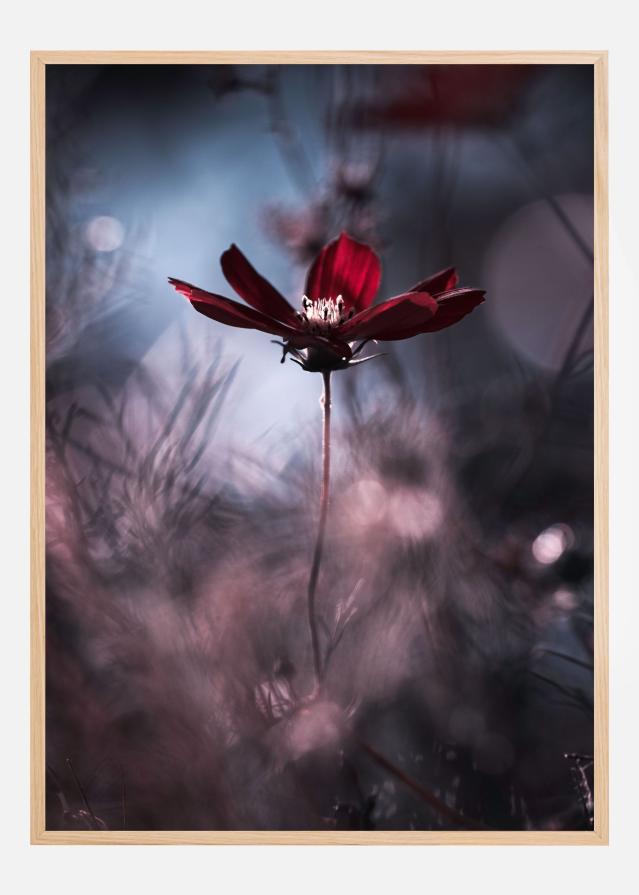 Tenue de soirAce Póster