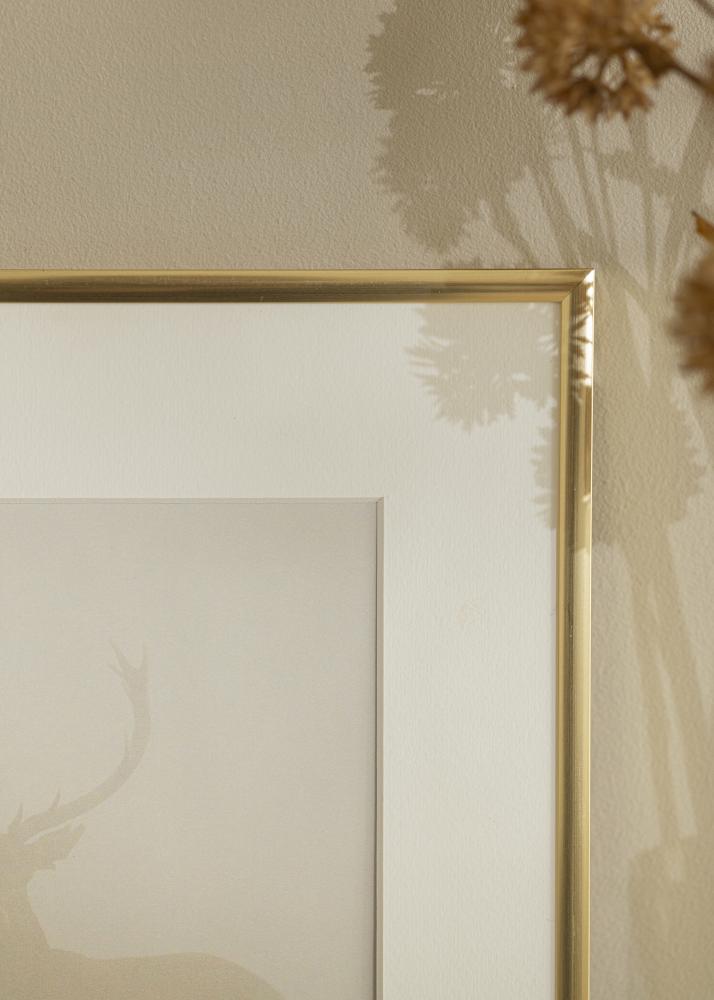 Moldura New Lifestyle Ouro 60x90 cm - passe-partout Branco 50x75 cm