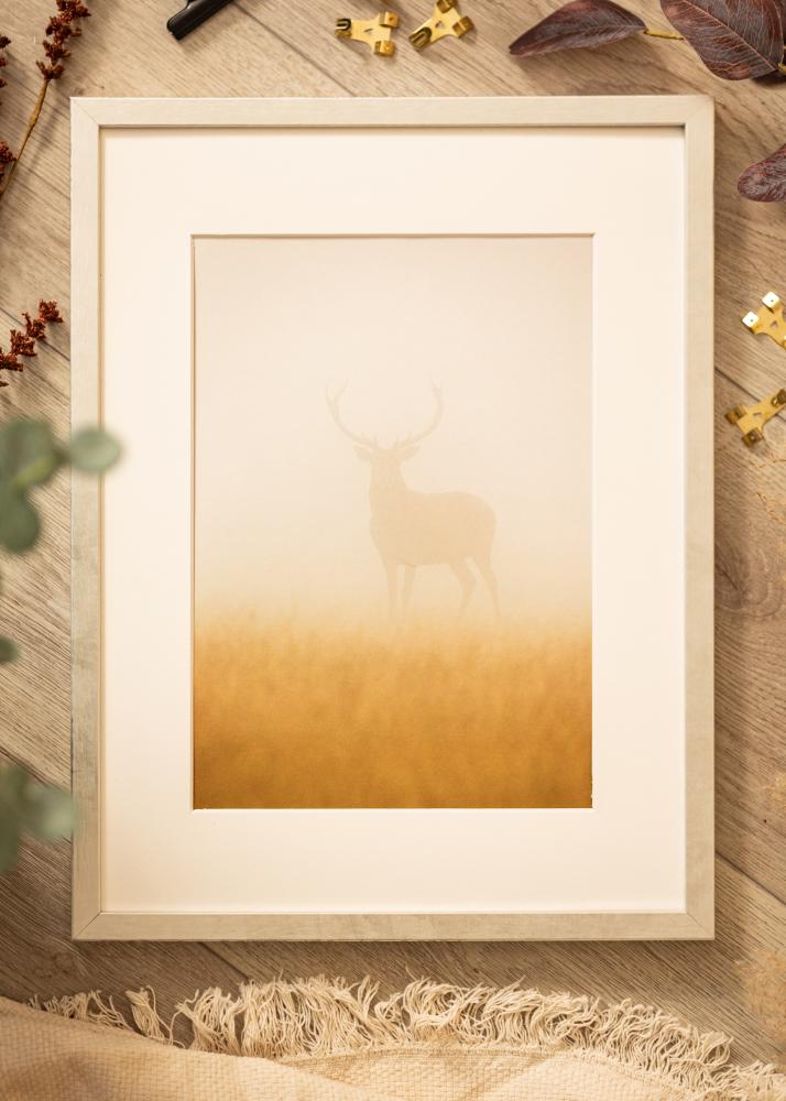 Moldura Ares Prata 50x50 cm - passe-partout Branco 39x39 cm