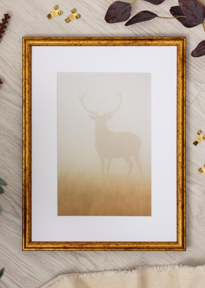 Moldura Claudia Akrylglas Ouro 21x29,7 cm (A4)