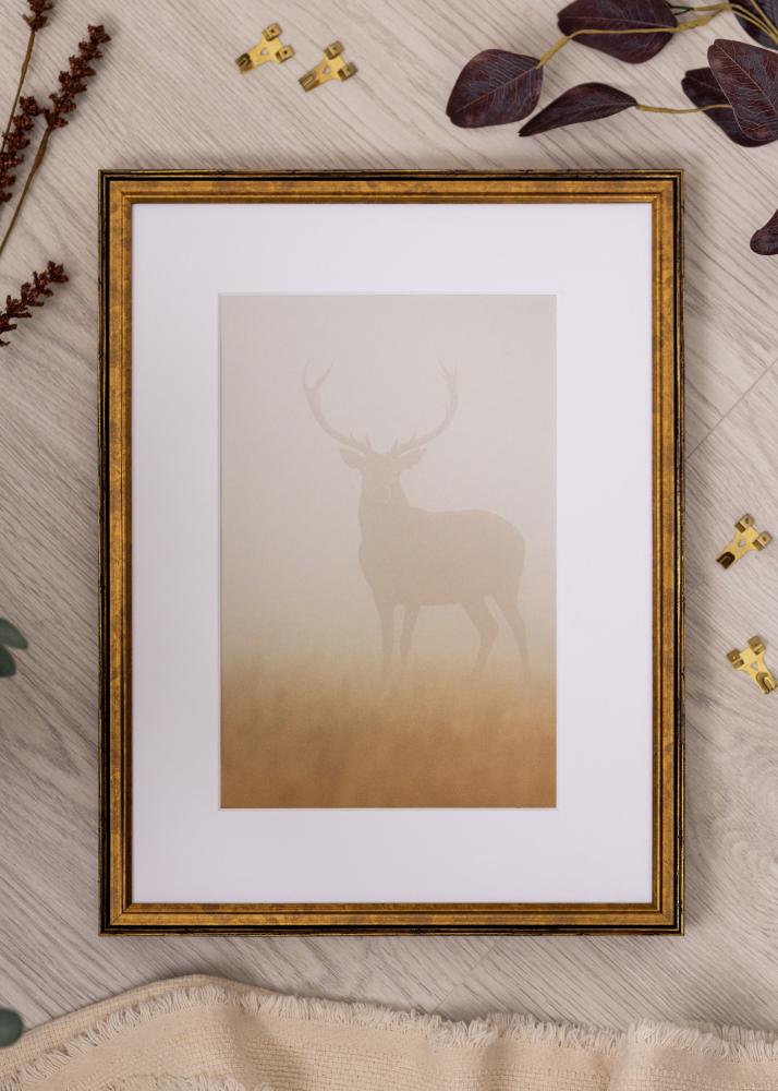 Moldura Ringa Vidro Acrílico Ouro 21x29,7 cm (A4)