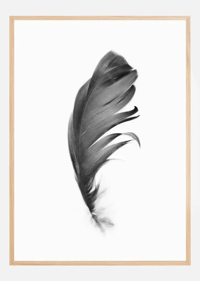 Feather Póster