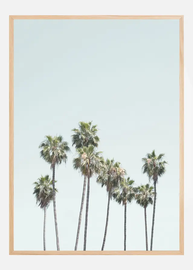 Blue Palm Trees Póster