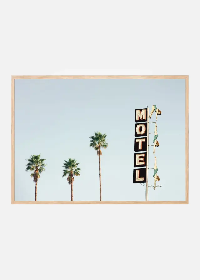 Diving Ladies Póster