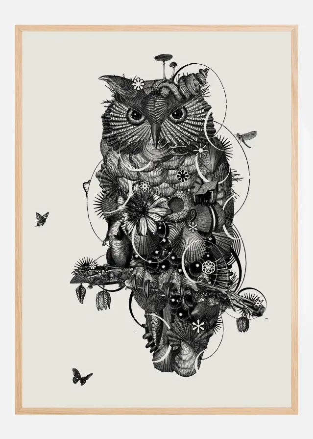 Owl Póster