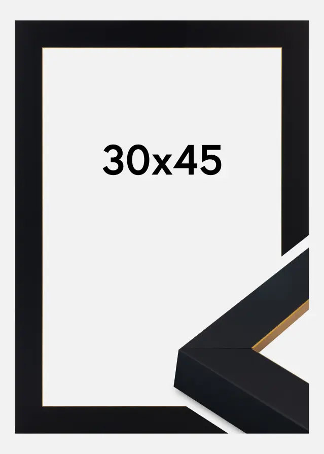 Moldura Sussex Vidro acrílico Preto/Ouro 30x45 cm