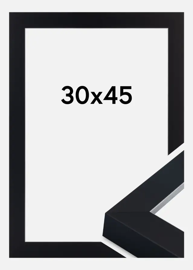 Moldura Sussex Vidro acrílico Preto/Prata 30x45 cm