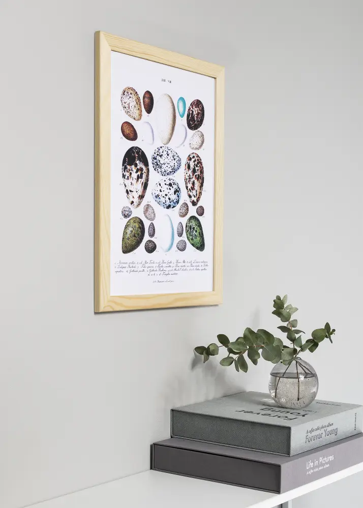 Moldura Trendline Natureza 70x100 cm - passe-partout Branco 59,4x84 cm