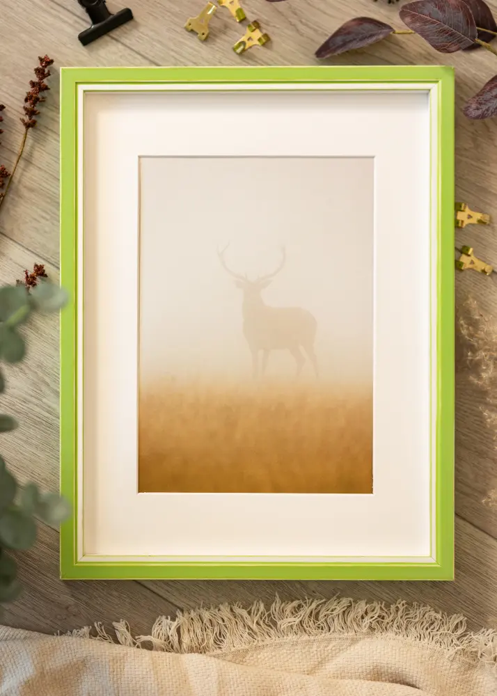 Moldura Diana Verde Claro 20x25 cm - passe-partout Branco 15x20 cm