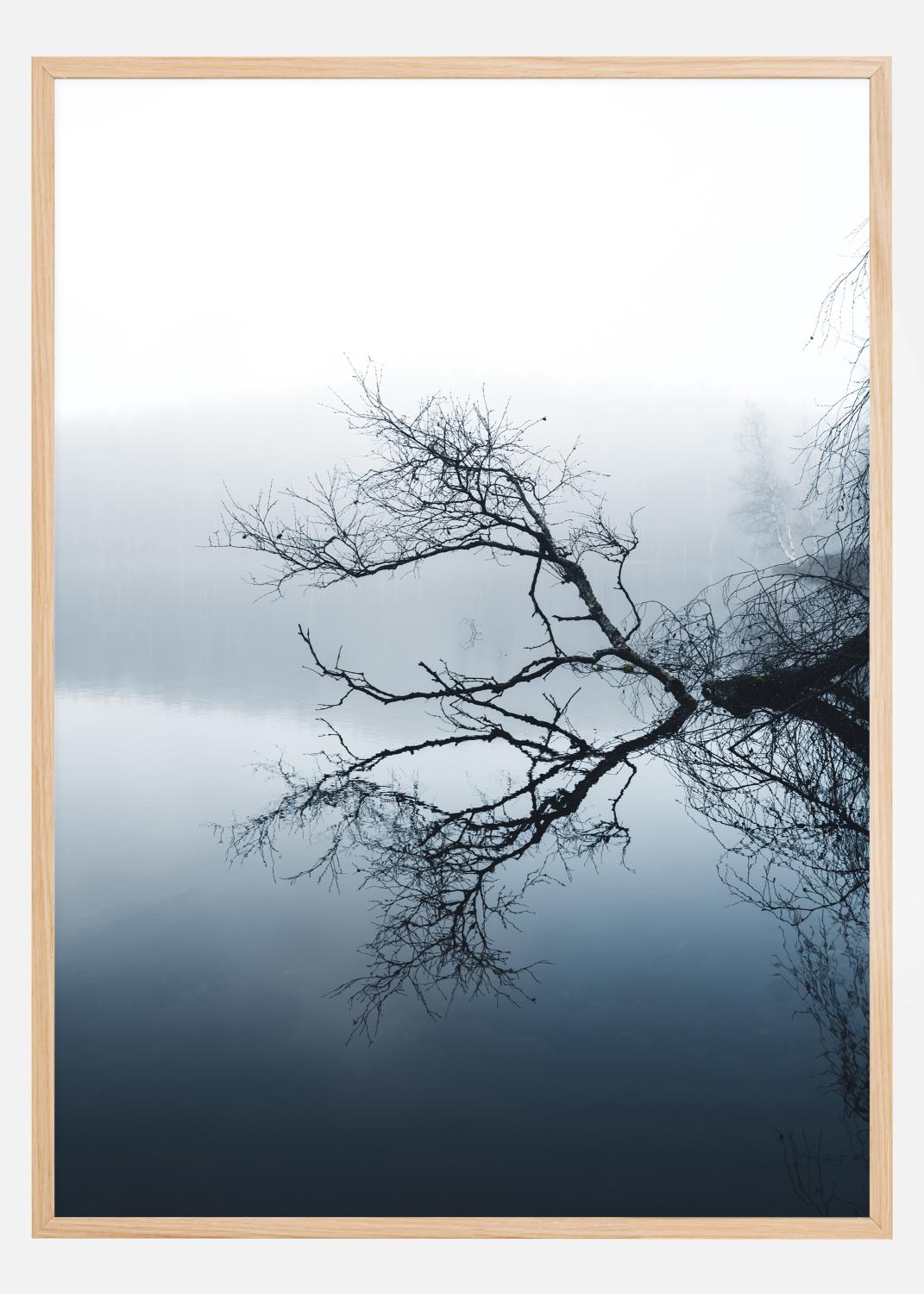 Product Image for Water Reflection Póster (21x29.7 cm (A4))