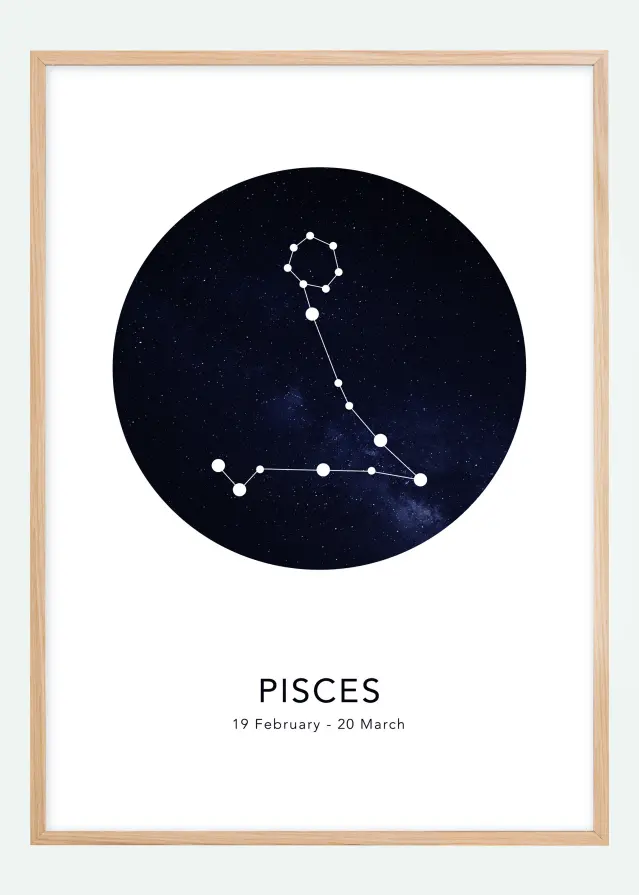 Pisces Póster