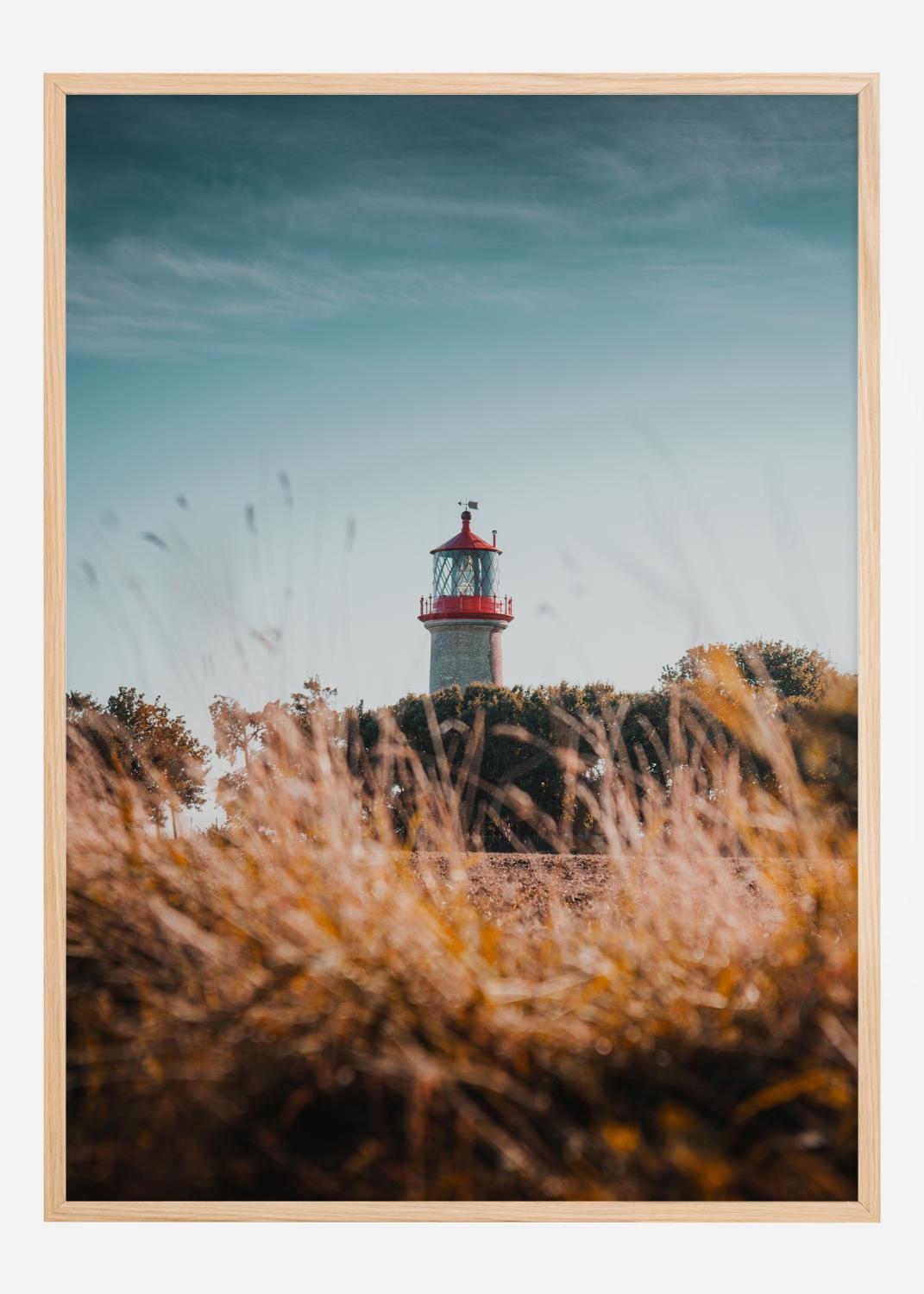 Product Image for Lighthouse Póster (21x29.7 cm (A4))