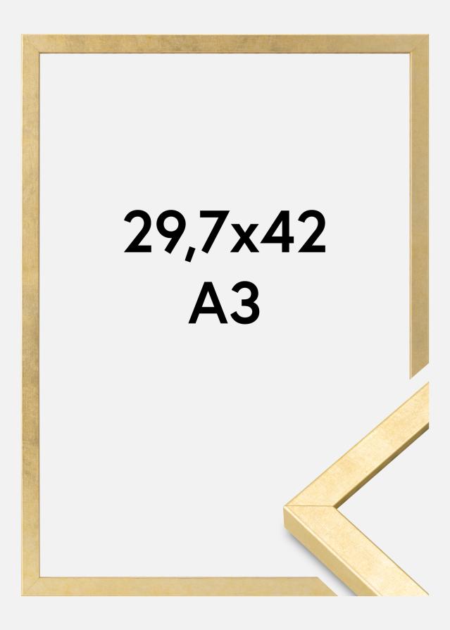 Moldura Ares Vidro acrílico Dourado 29,7x42 cm (A3)