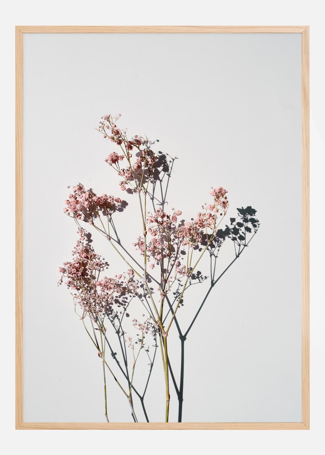 Product Image for Dried flowers II Póster (21x29.7 cm (A4))