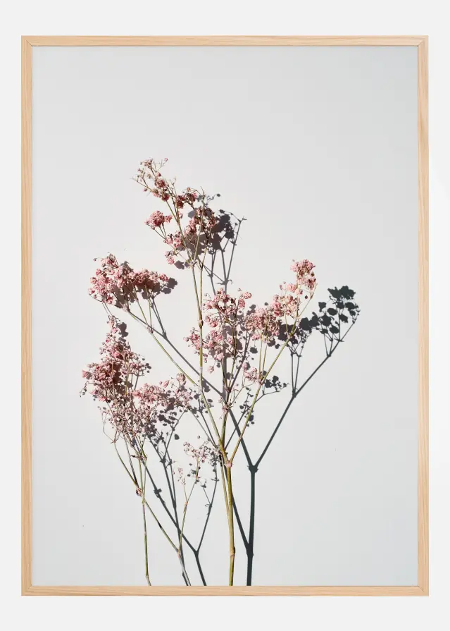 Dried flowers II Póster