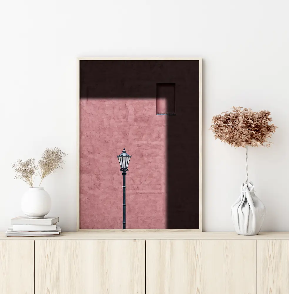 Pink Frame Póster