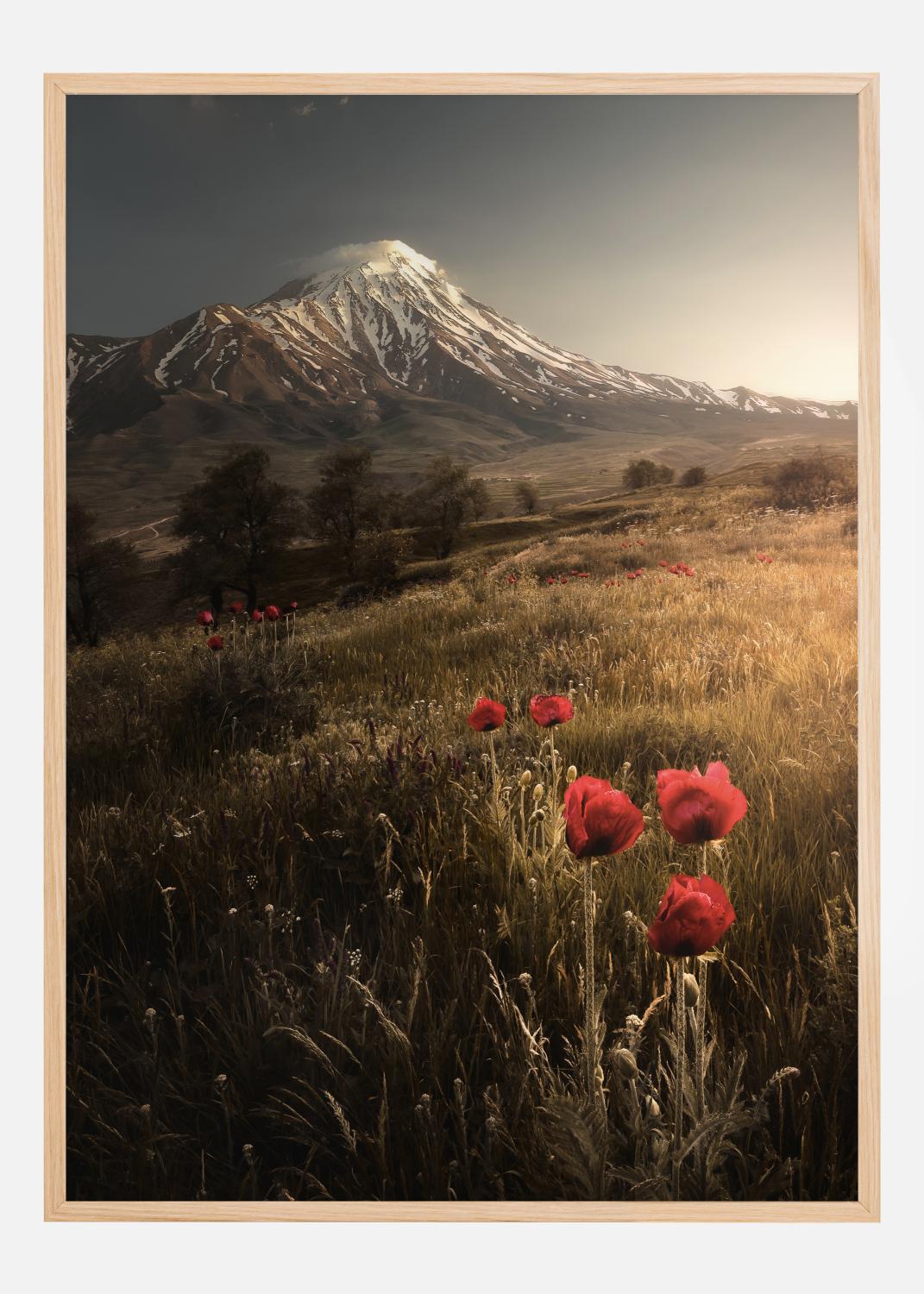 Product Image for Life Is Beautiful Póster (21x29.7 cm (A4))