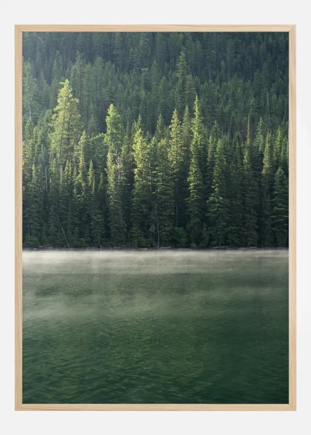 Green Forest Póster