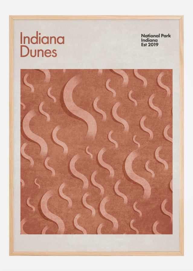 Indiana Dunes Póster