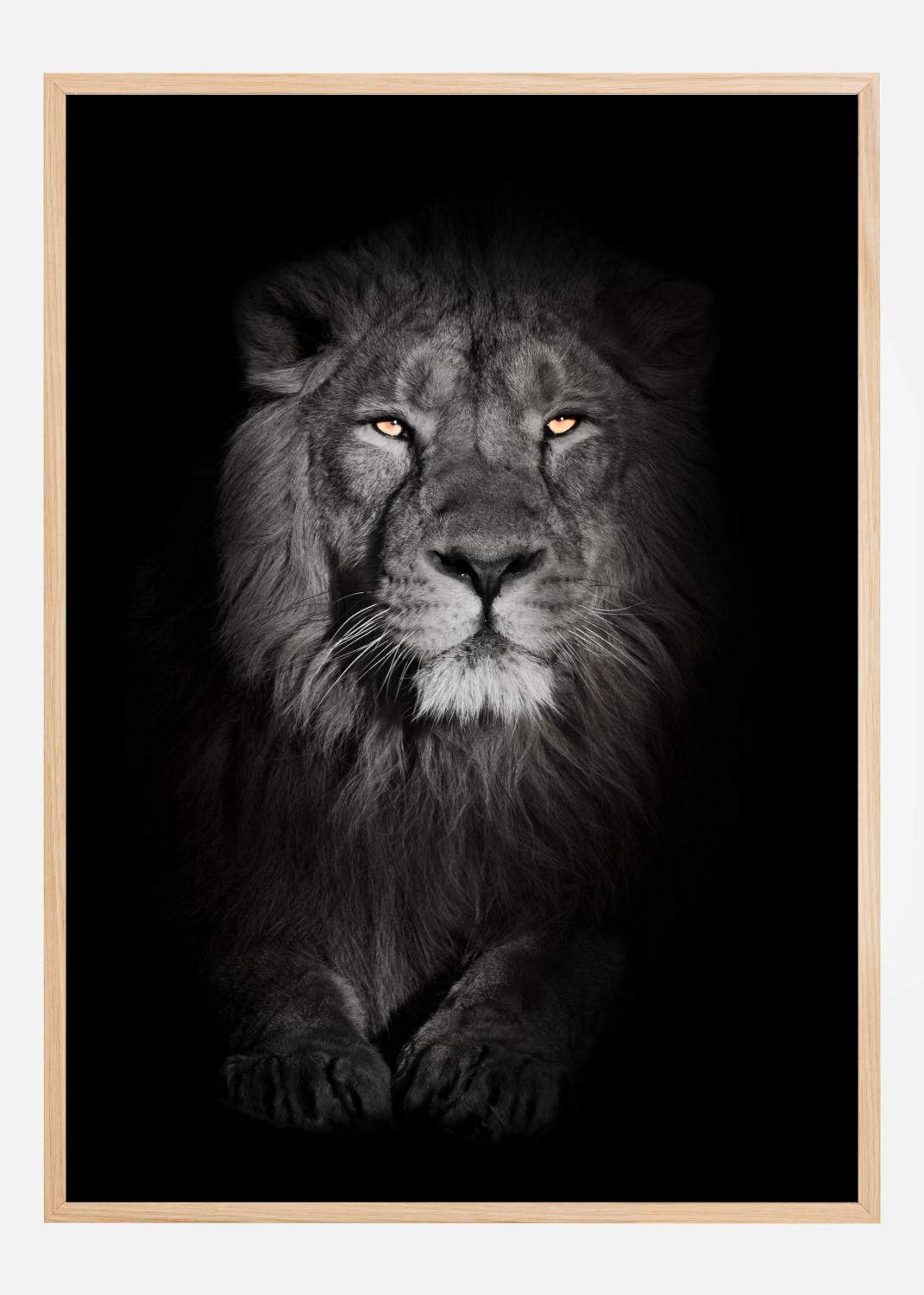 Product Image for Lion in black and white Póster (21x29.7 cm (A4))