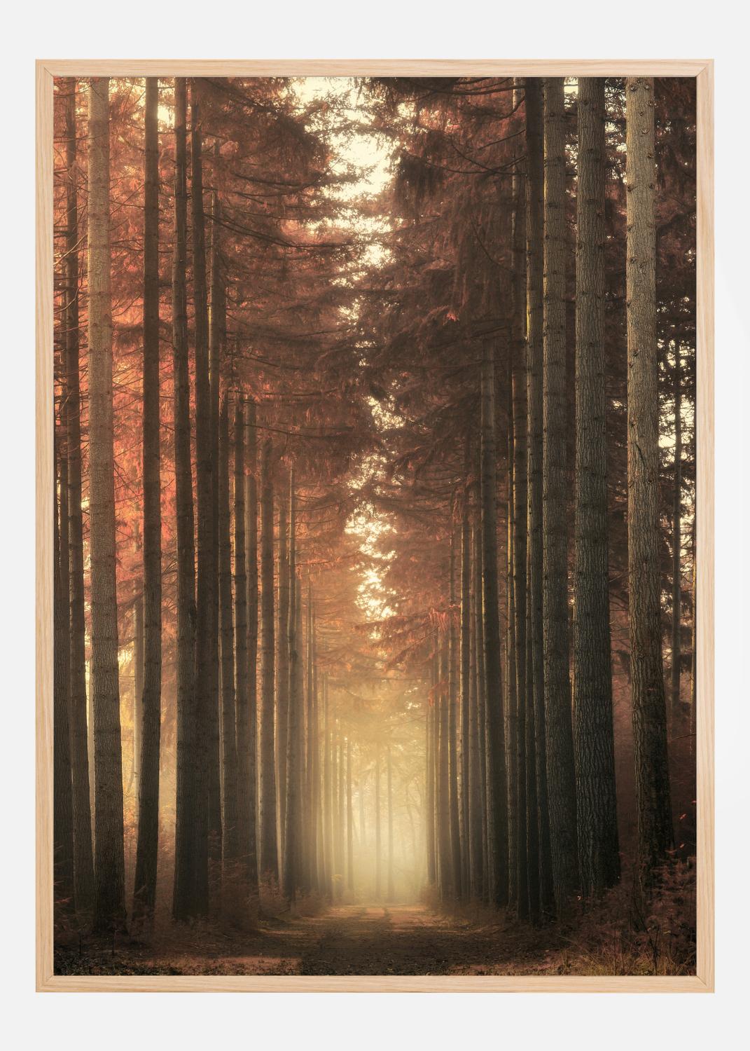 Product Image for Light Burning Póster (21x29.7 cm (A4))