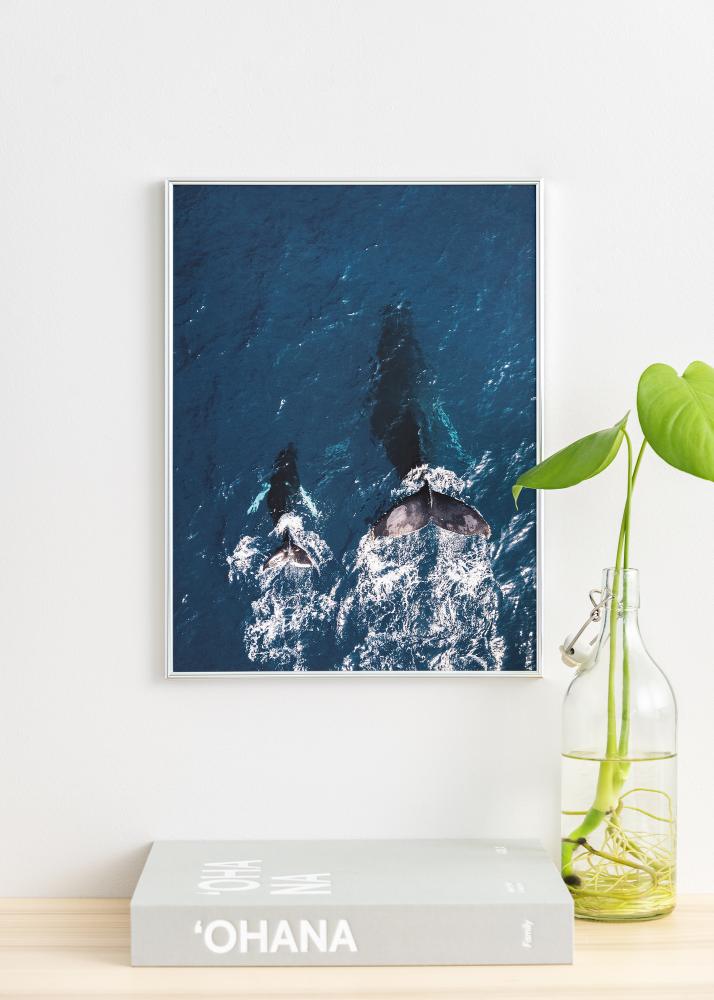 Moldura Can-Can Prateado 40x40 cm