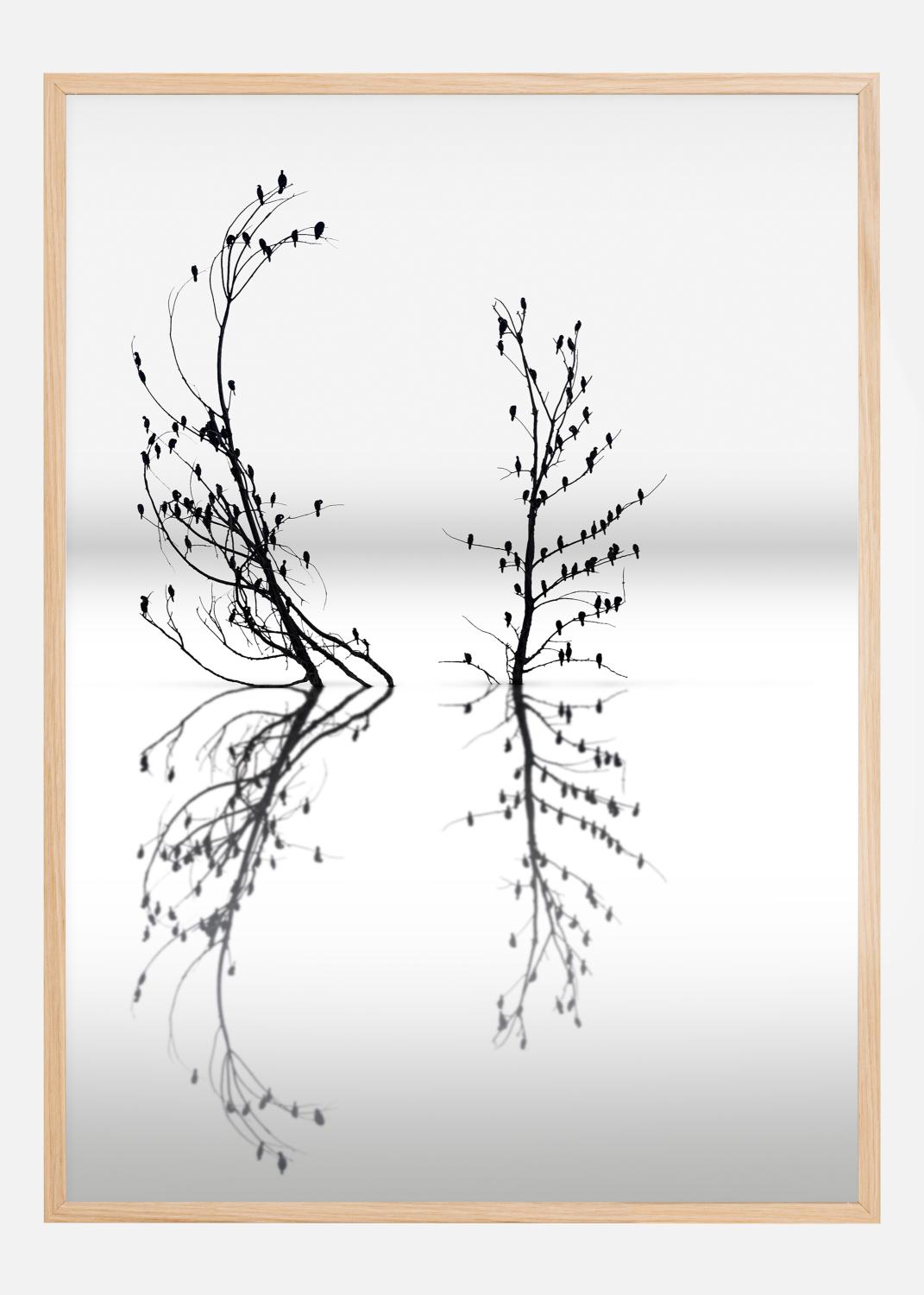 Product Image for Dreamland 03 Póster (21x29.7 cm (A4))