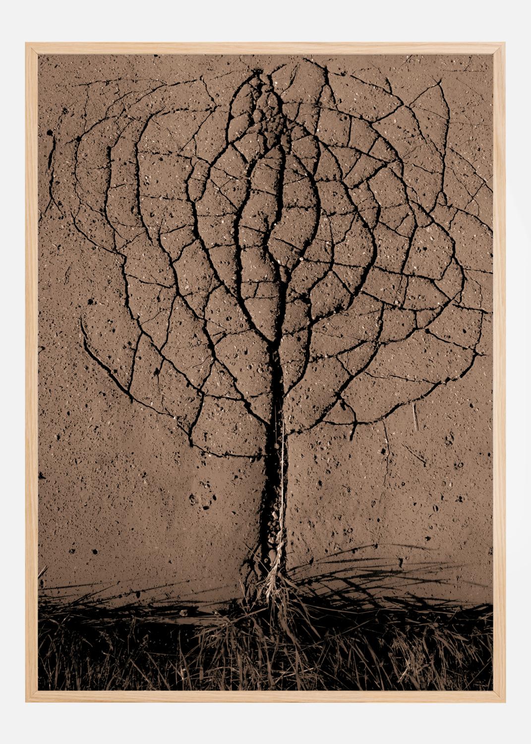 Product Image for Asphalt Tree Póster (21x29.7 cm (A4))