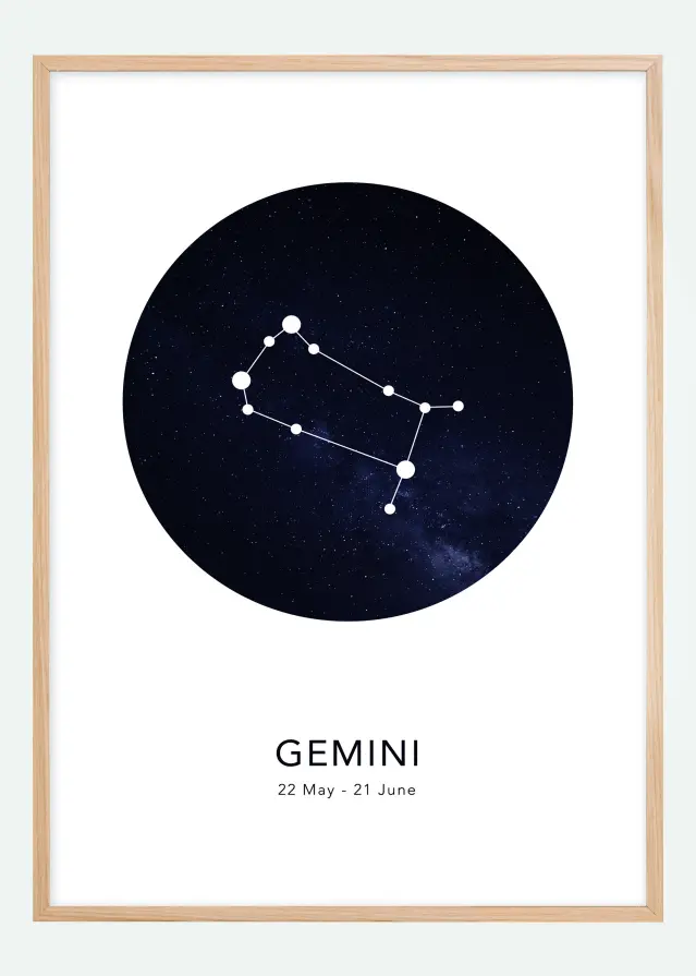 Gemini Póster