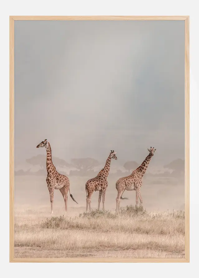 Weathering The Amboseli Dust Devils Póster