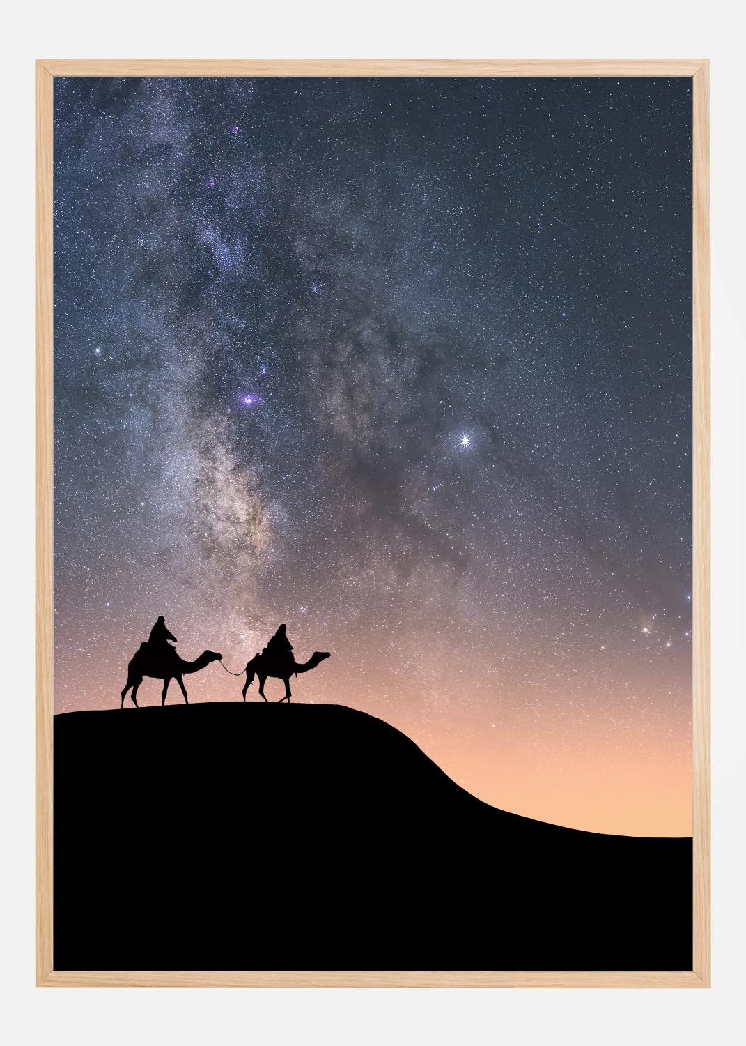 Product Image for Camels Under The Stars Póster (21x29.7 cm (A4))