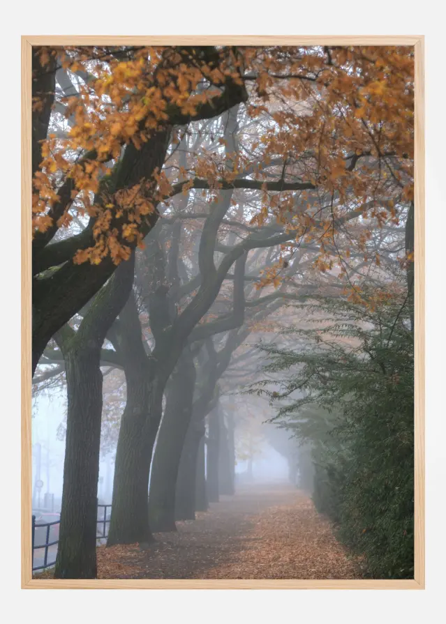 Autum Stroll Póster