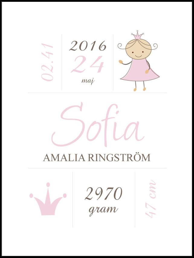 Princess Birth Póster Pink