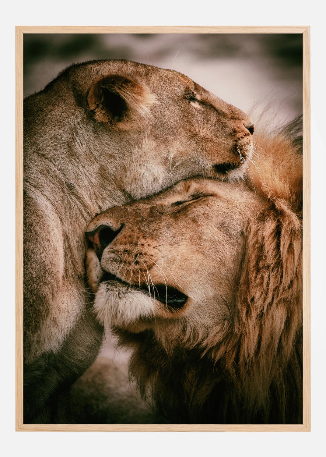 Product Image for What Is Love Póster (21x29.7 cm (A4))
