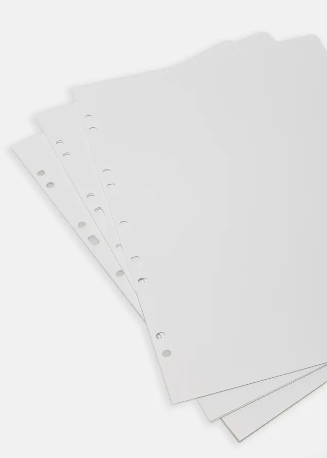 BGA Folhas para álbuns SA4 - 30 Folhas brancas