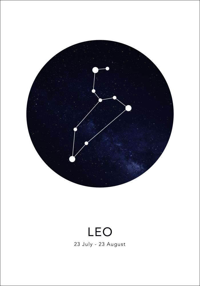 Leo Póster