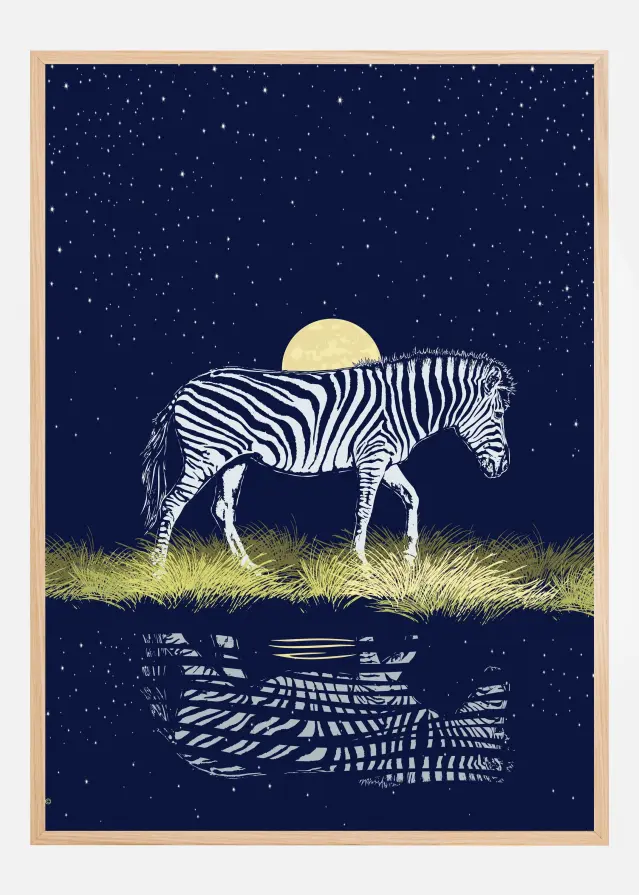 Zebra at Waterhole Moonrise Póster