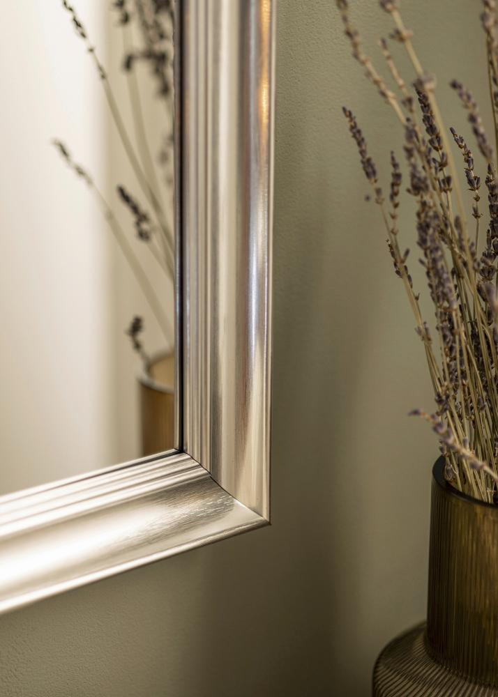 Espelho Alice Prateado 48x88 cm