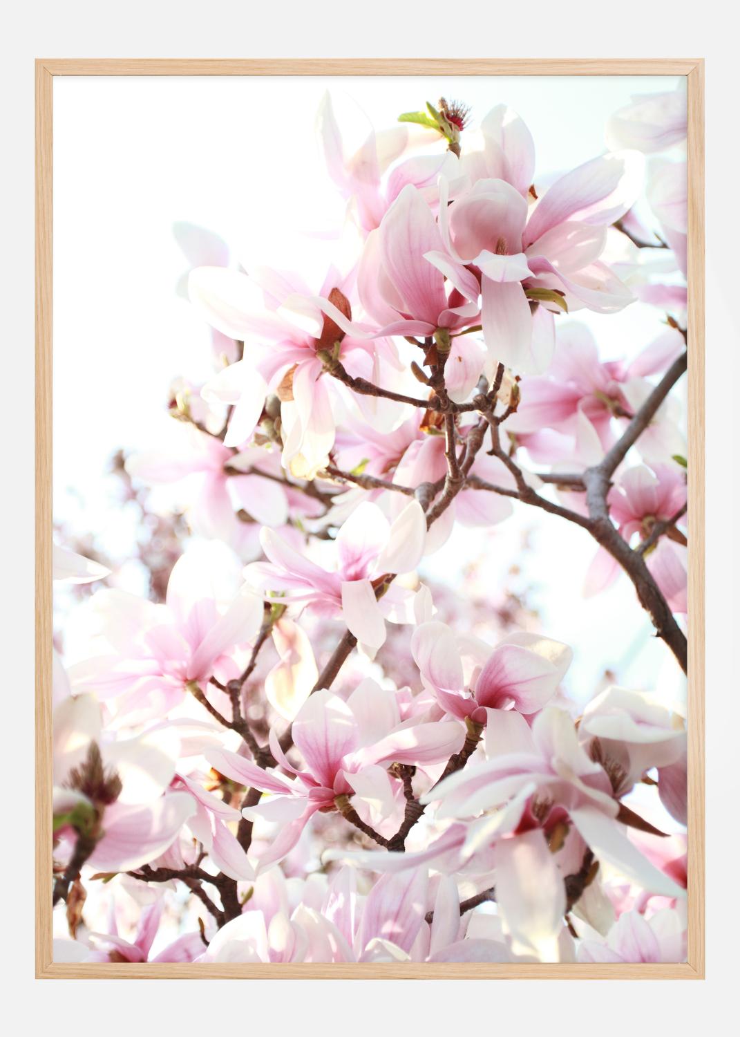 Product Image for Cherry Trees Póster (21x29.7 cm (A4))
