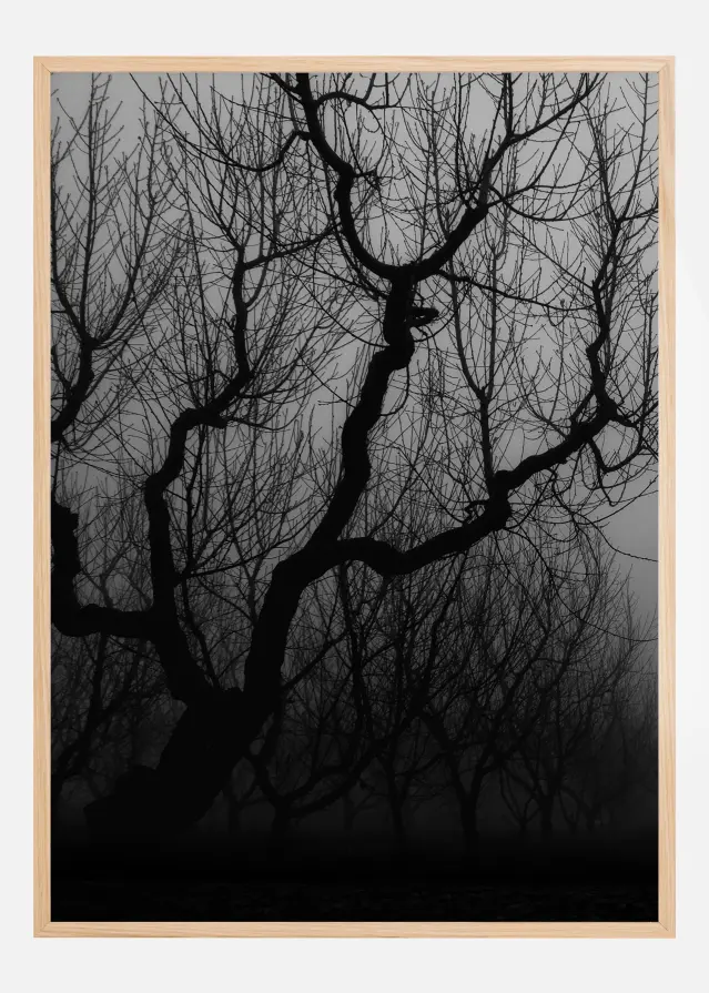 Dfolha trees Póster