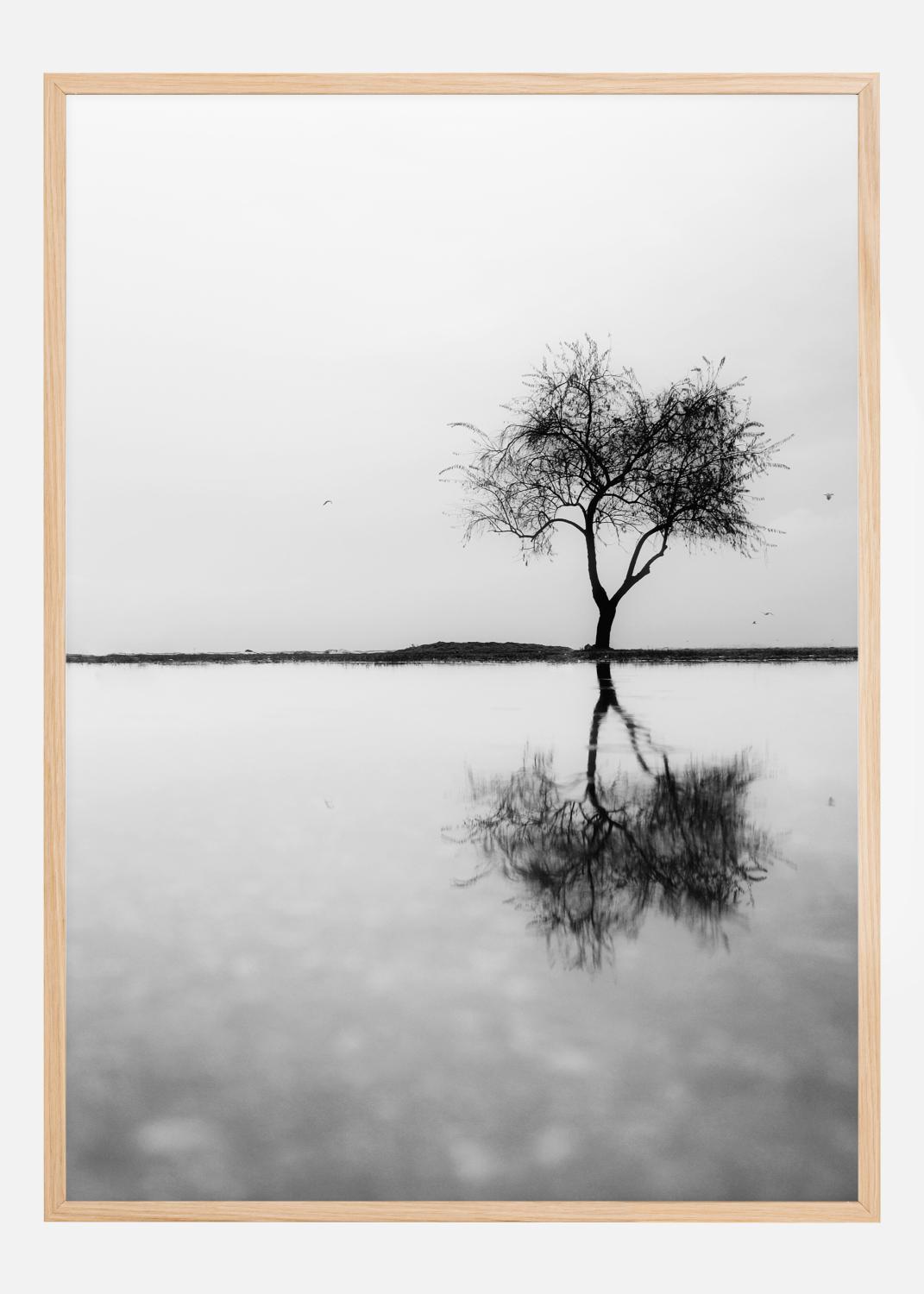 Product Image for Lonely Tree Reflection Póster (21x29.7 cm (A4))
