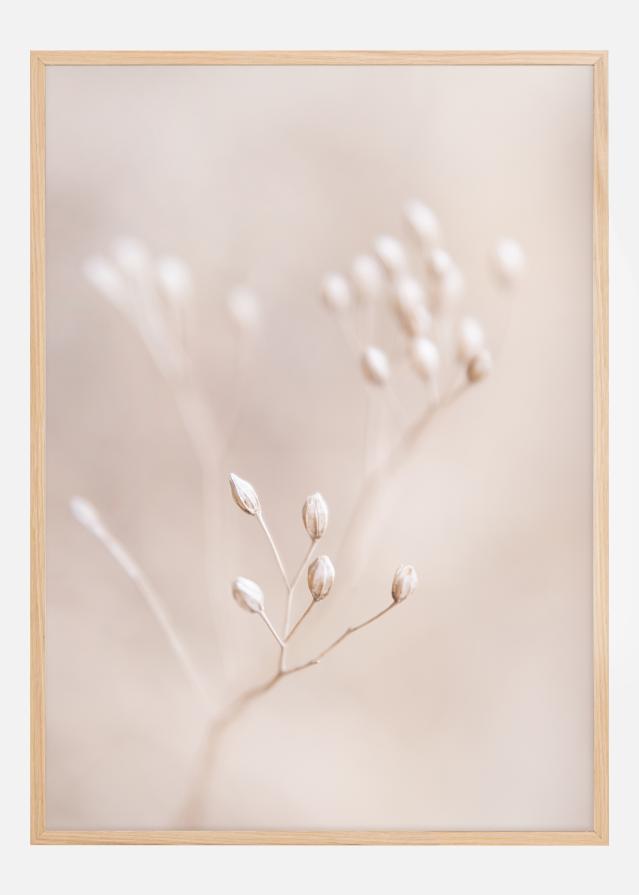 Close up Straw Póster