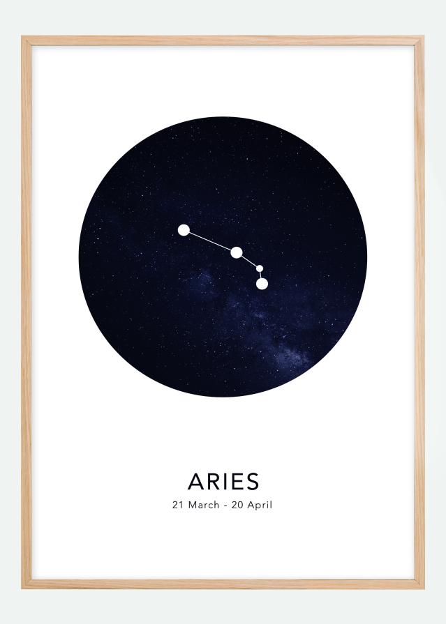 Aries Póster