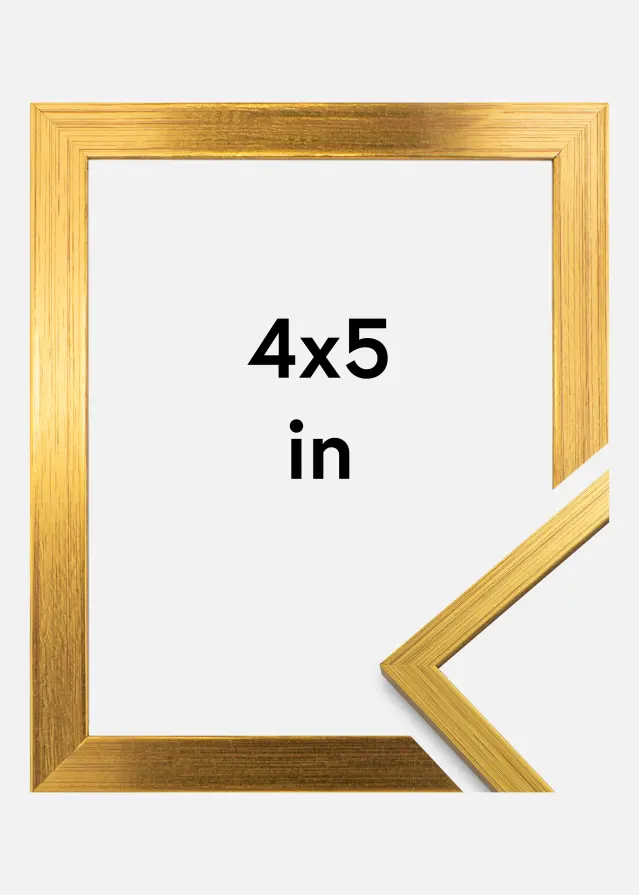 Moldura Edsbyn Dourado 4x5 inches (10,16x12,7 cm)